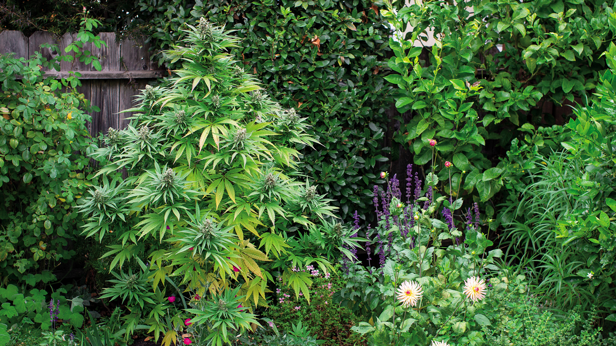 Выбор места для аутдора. Выбор места для аутдора.